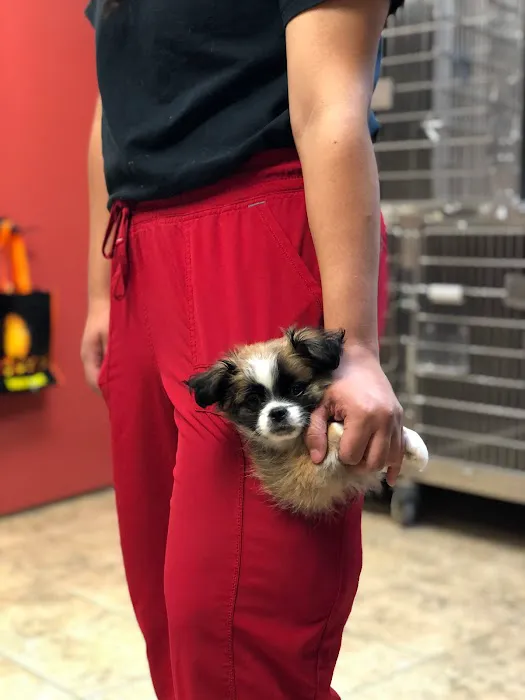East Montgomery County Animal Hospital Picture 7