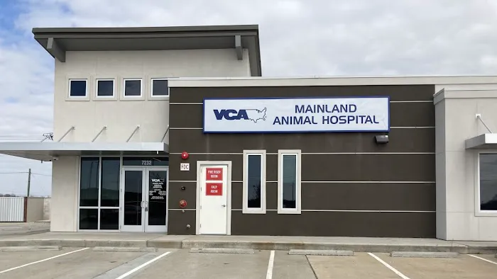 VCA Mainland Animal Hospital Picture 4