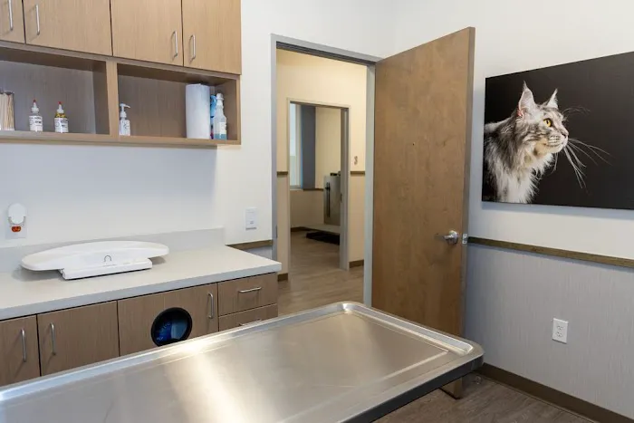 VCA Mainland Animal Hospital Picture 10