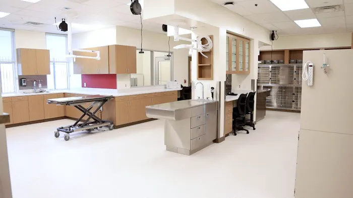 VCA Mainland Animal Hospital Picture 9