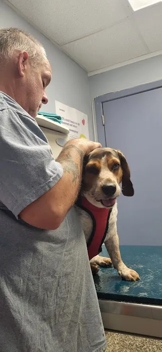 Neighborhood Veterinary Centers - La Marque Picture 4