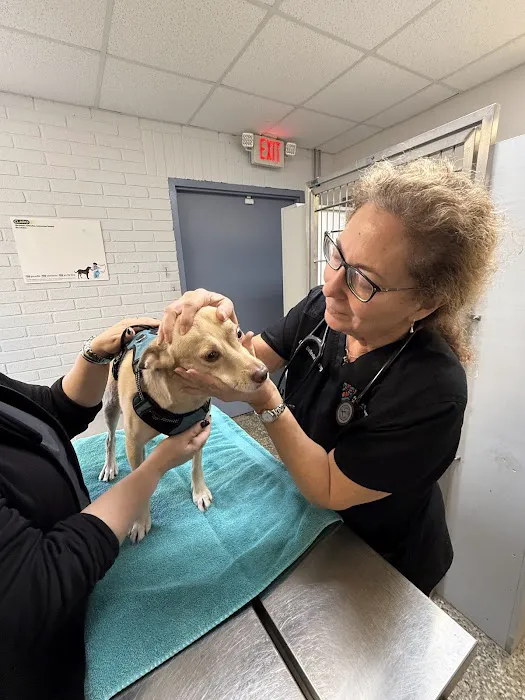 Neighborhood Veterinary Centers - La Marque Picture 7