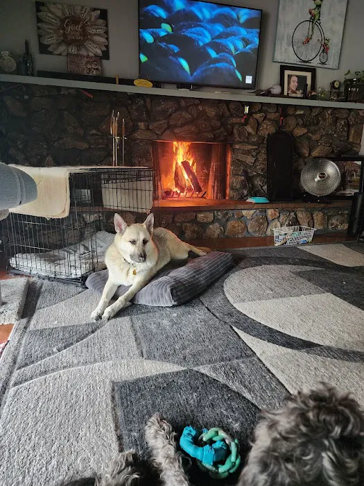 Granite Bay Veterinary Clinic Picture 1
