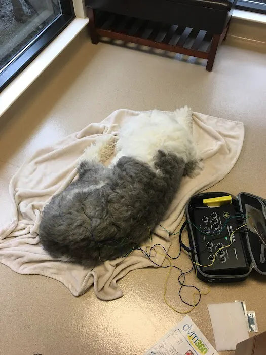 Granite Bay Veterinary Clinic Picture 7