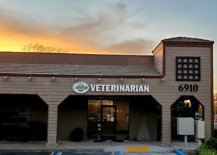 Bayside Animal Hospital Picture 8