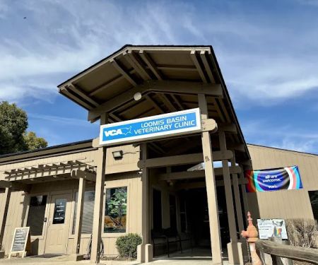 VCA Loomis Basin Veterinary Clinic