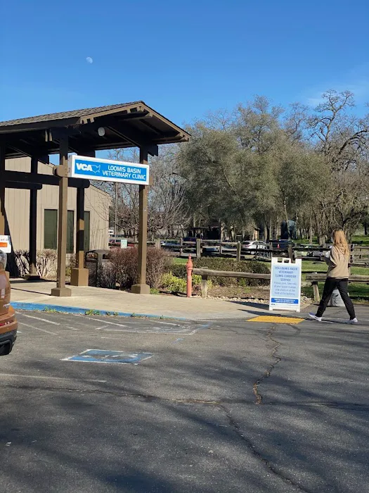 VCA Loomis Basin Veterinary Clinic Picture 7