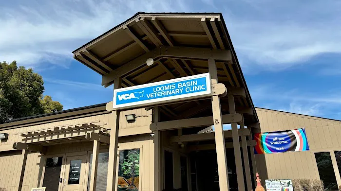 VCA Loomis Basin Veterinary Clinic Picture 6