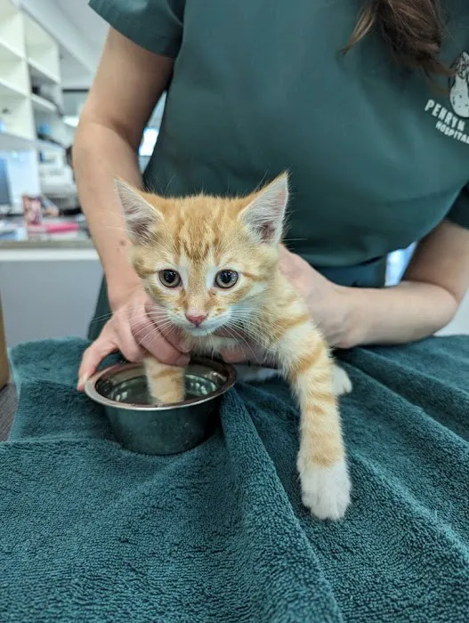 Penryn Pet Hospital Picture 5