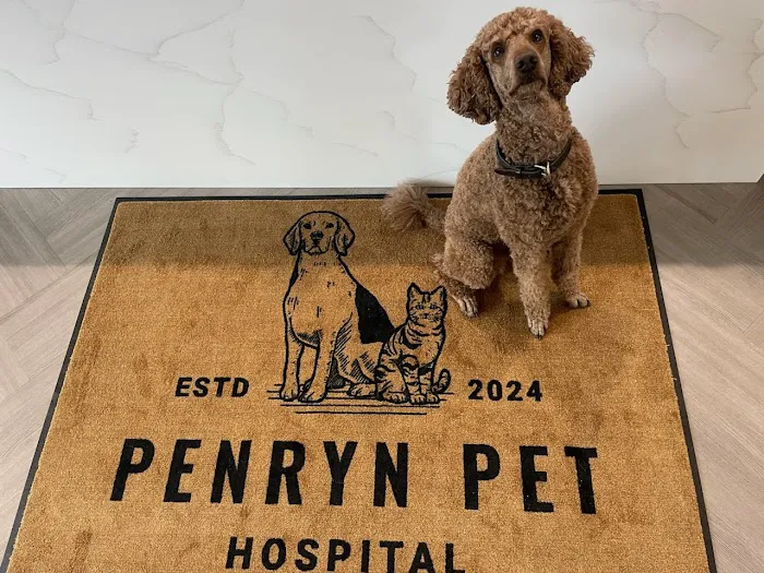 Penryn Pet Hospital Picture 8