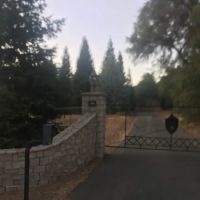 Susan Gillen DVM ico