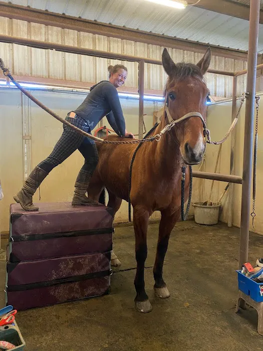 Loomis Basin Equine Medical Center Picture 2