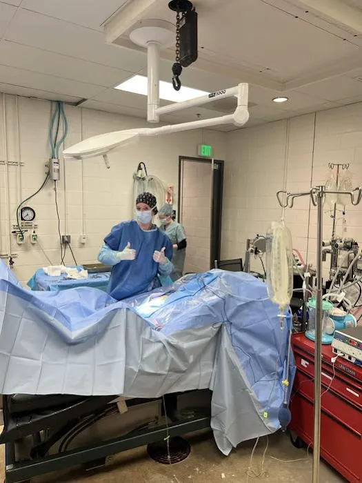 Loomis Basin Equine Medical Center Picture 6