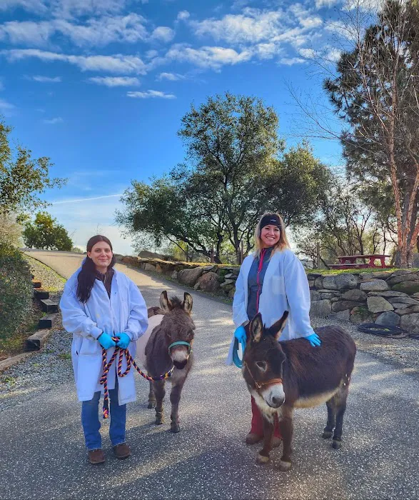 Loomis Basin Equine Medical Center Picture 10