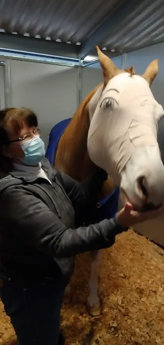 Loomis Basin Equine Medical: Stolba Diana DVM Picture 1