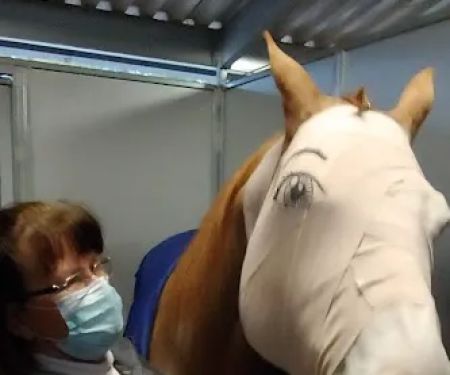 Loomis Basin Equine Medical: Stolba Diana DVM