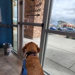 Allure Veterinary Partners