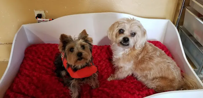 Banfield Pet Hospital Picture 3