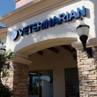 Veterinary Medical Center of Folsom ico
