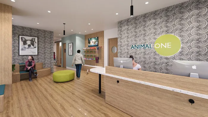 Animal ONE Picture 2