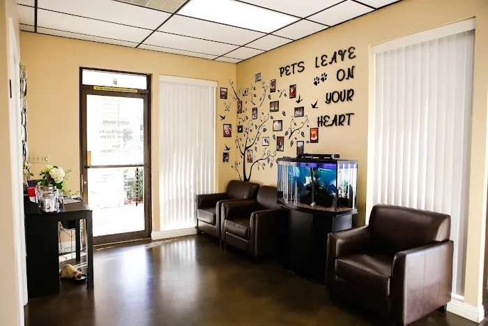 El Dorado Hills Pet Clinic Picture 7