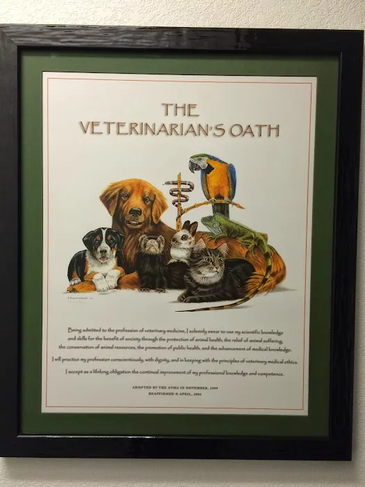 Veterinary Healing Center of El Dorado Hills Picture 9