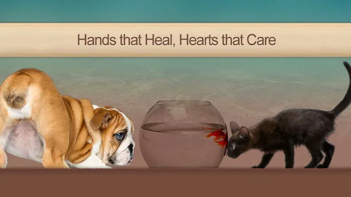 Veterinary Healing Center of El Dorado Hills Picture 7