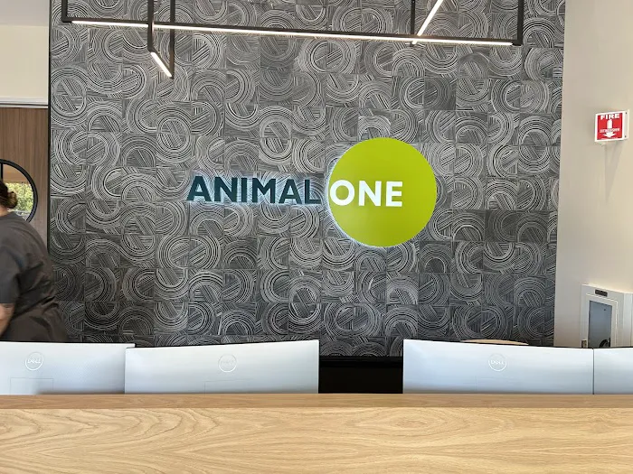 Animal ONE Picture 3
