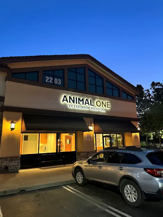 Animal ONE Picture 4