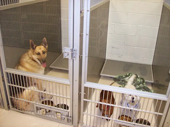Edinburgh Animal Hospital Picture 2