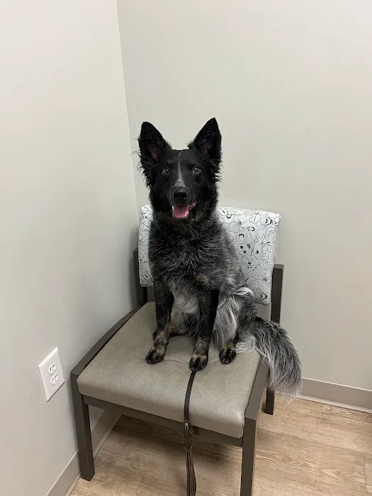 Edinburgh Animal Hospital Picture 4