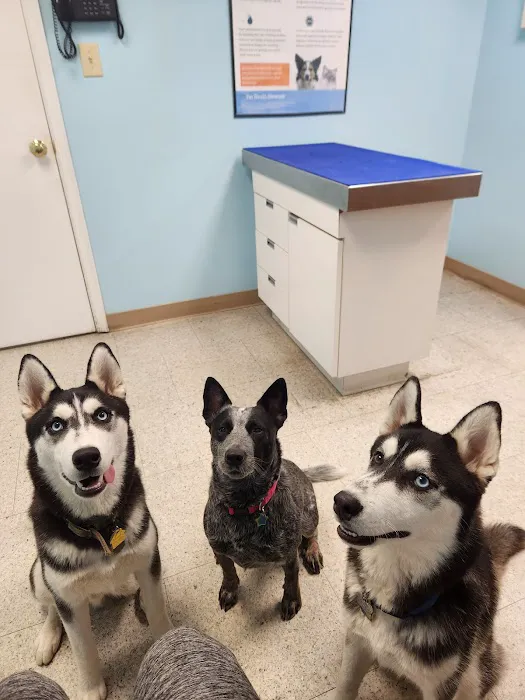 Cypress Creek Veterinary Hospital Picture 2