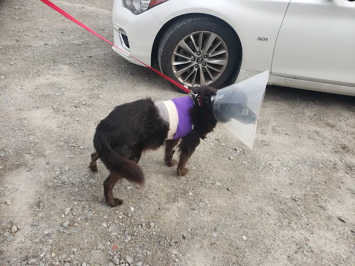 Cypress Creek Veterinary Hospital Picture 5