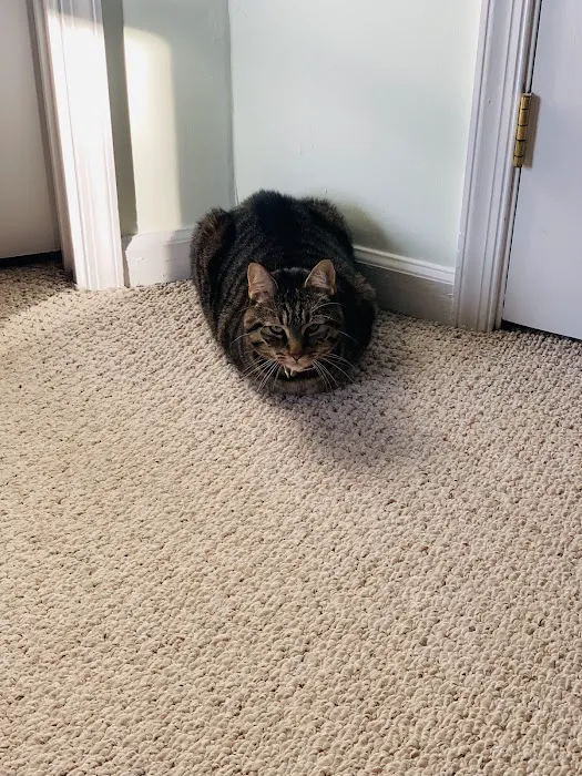 Cypress Creek Veterinary Hospital Picture 6