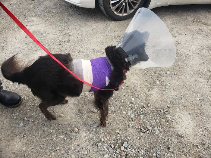 Cypress Creek Veterinary Hospital Picture 4