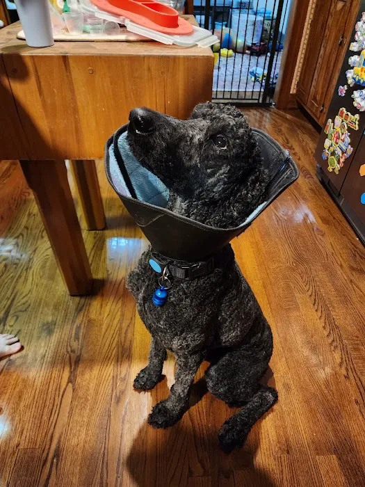 Cypress Creek Veterinary Hospital Picture 7