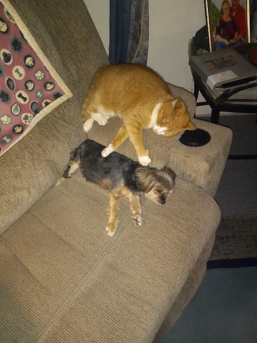 Cypress Creek Veterinary Hospital Picture 9