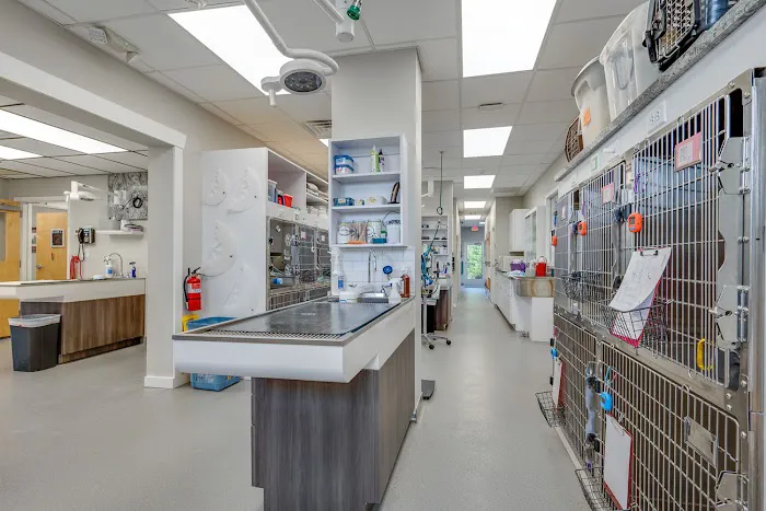 Academy Animal Care Picture 3