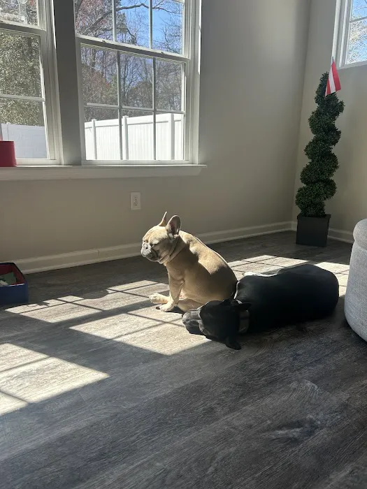 Academy Animal Care Picture 5