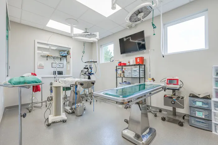 Academy Animal Care Picture 7