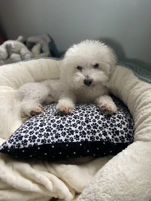 Academy Animal Care Picture 4