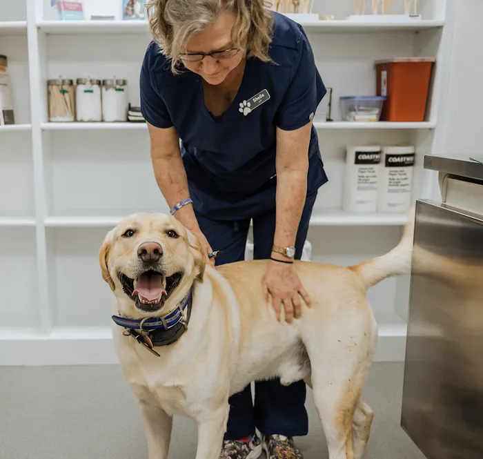 Academy Animal Care Picture 10