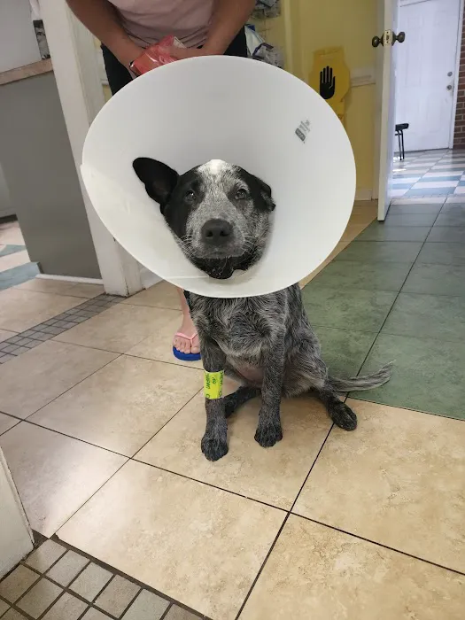 Windsor Pet Care Picture 1