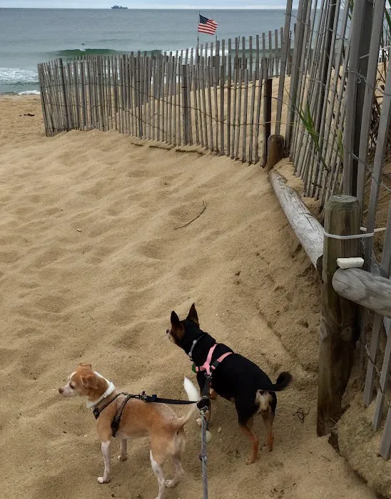 Windsor Pet Care Picture 4
