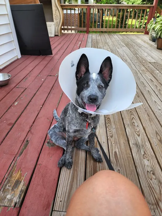 Windsor Pet Care Picture 7