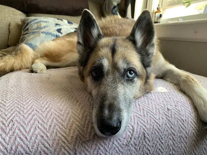 Tidewater Animal Clinic Picture 1