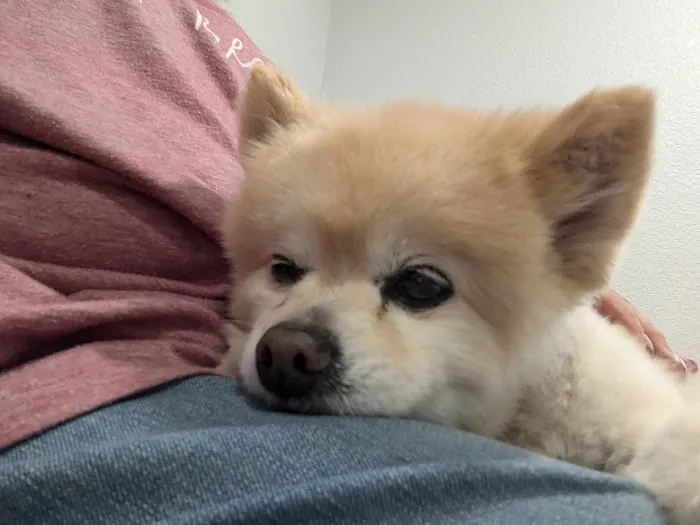 Tidewater Animal Clinic Picture 4