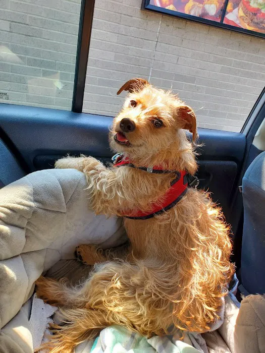 Tidewater Animal Clinic Picture 2