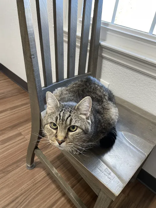 Tidewater Animal Clinic Picture 6