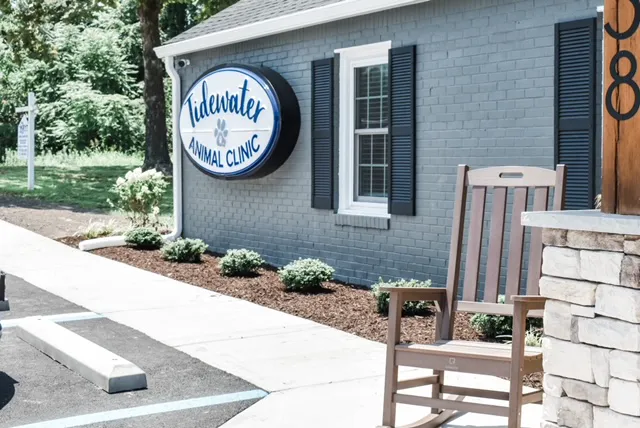 Tidewater Animal Clinic Picture 7